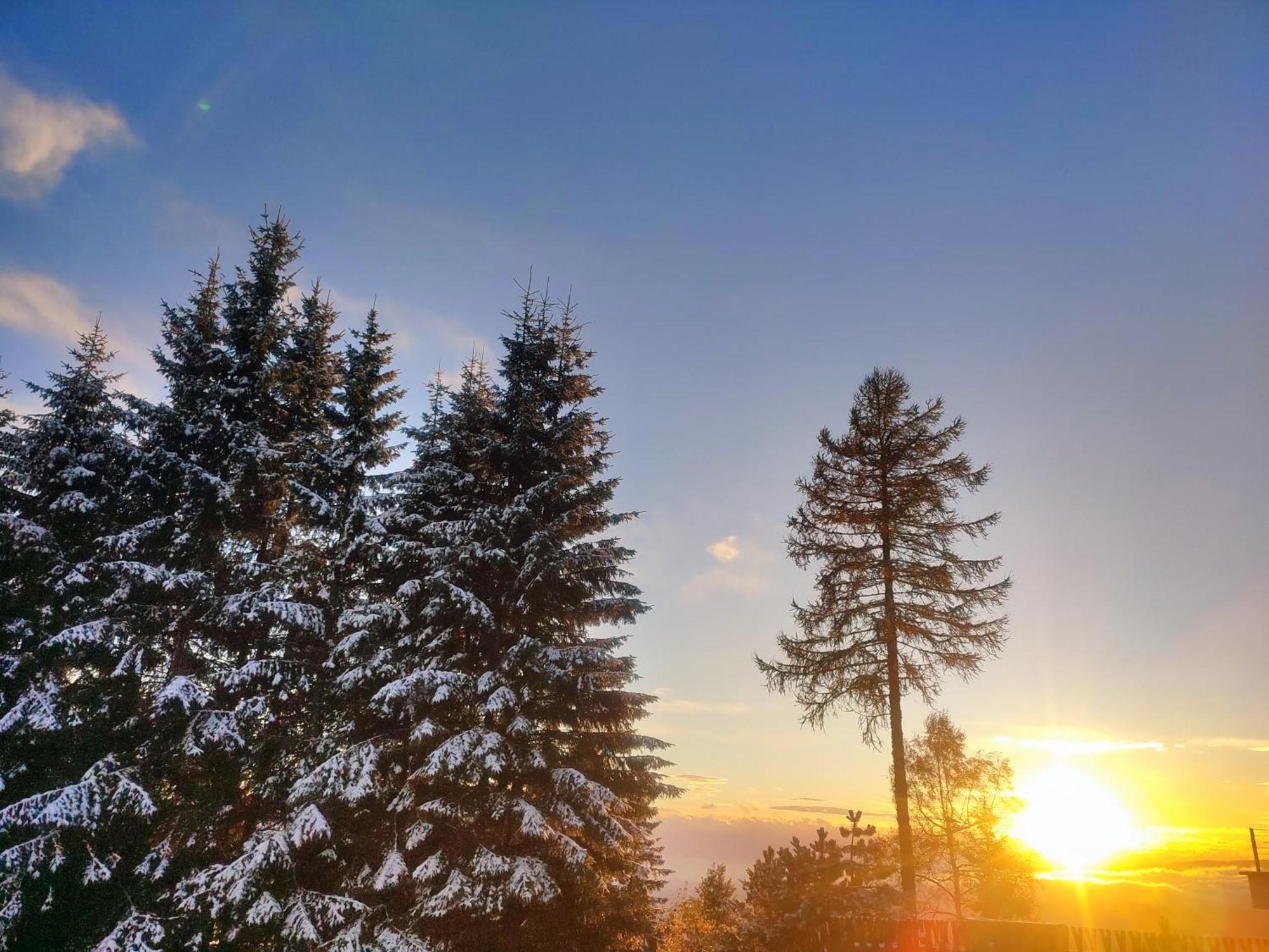 Nature Living Koralm - Neue Chalets Auf Der Koralpe Im Schi- Und Wanderparadies Sankt Stefan im Lavanttal Esterno foto