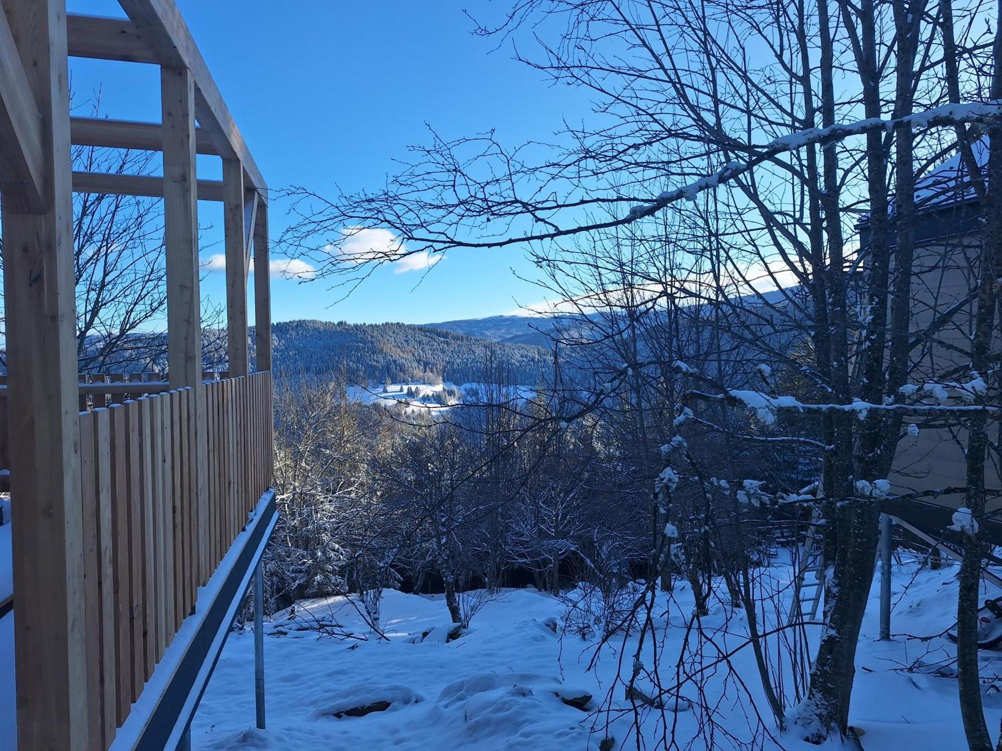 Nature Living Koralm - Neue Chalets Auf Der Koralpe Im Schi- Und Wanderparadies Sankt Stefan im Lavanttal Esterno foto